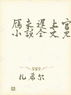 雁未迟上官穿越小说全文免费阅读