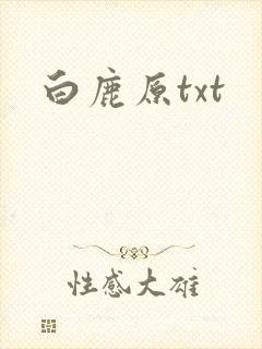白鹿原txt