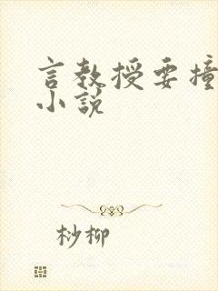 言教授要撞坏了小说