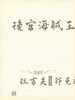 后宫海贼王