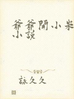 爷爷开小米的包小说