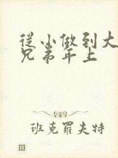 从小做到大骨科兄弟年上