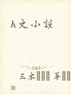 h文小说
