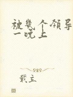 被几个领导玩弄一晚上