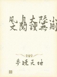 风月大陆小说全文阅读无删减