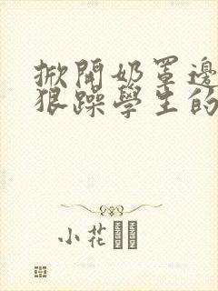 掀开奶罩边躁狠狠躁学生的小文字