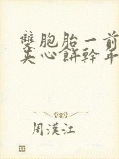 双胞胎一前一后夹心饼干年下