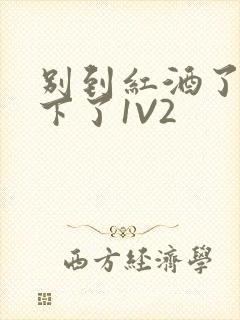 别到红酒了装不下了1V2