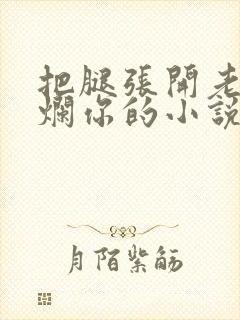 把腿张开老子臊烂你的小说