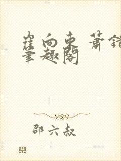 崔向东 萧错 笔趣阁