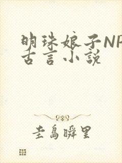 明珠娘子NPC古言小说