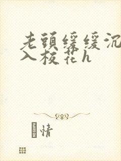 老头缓缓沉腰进入校花h