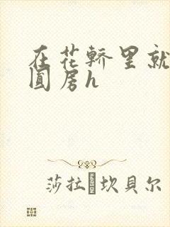 在花轿里就开始圆房h