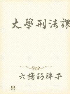 大学刑法课