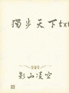 独步天下txt