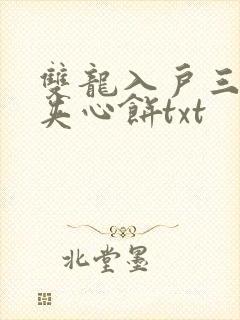 双龙入户三人行夹心饼txt