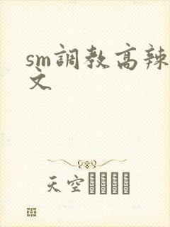 sm调教高辣h文