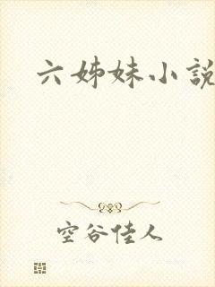 六姊妹小说