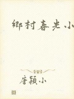 乡村春光小说