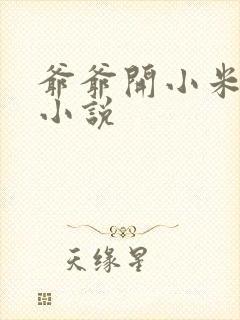 爷爷开小米的包小说