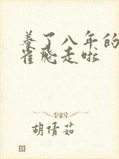 养了八年的金丝雀飞走啦