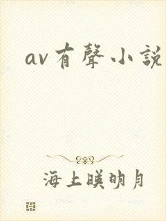av有声小说