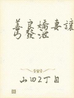 善良娇妻让老乞丐发泄