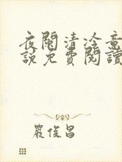 夜阑清冷意欢小说免费阅读