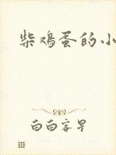 柴鸡蛋的小说