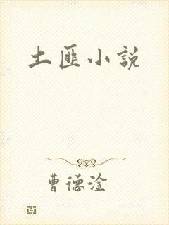 土匪小说