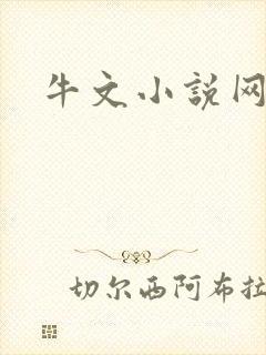 牛文小说网