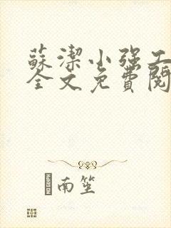 苏洁小强工地情全文免费阅读