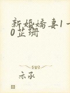 新婚娇妻1一40芷珊