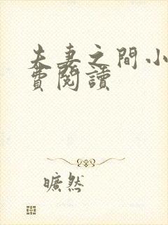 夫妻之间小说免费阅读