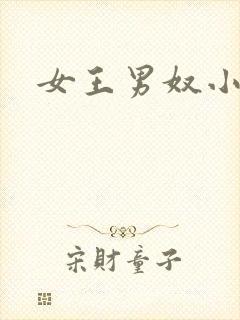 女王男奴小说