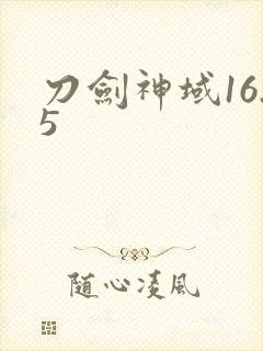 刀剑神域16.5