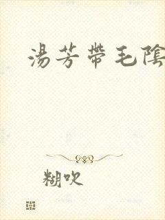 汤芳带毛阴部
