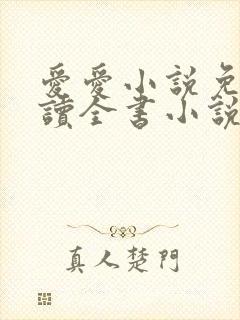 爱爱小说免费阅读全书小说乡村