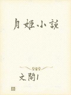 月姬小说