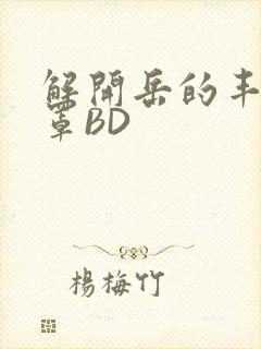 解开岳的丰满奶罩BD