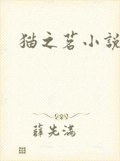 猫之茗小说