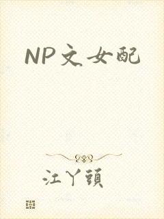 NP文女配