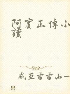 阿宾正传小说在读