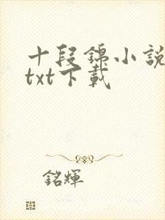 十段锦小说全本txt下载
