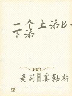 一个上添B一个下添