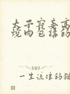 太子宠妾高肉红烧肉包讲的什么