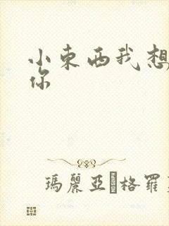 小东西我想弄坏你