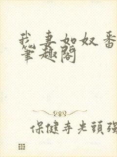 我妻如奴番外篇笔趣阁