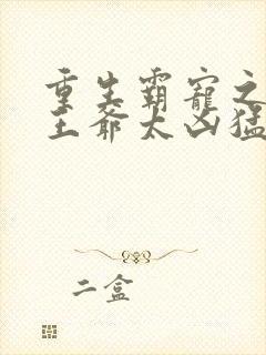 重生霸宠之摄政王爷太凶猛