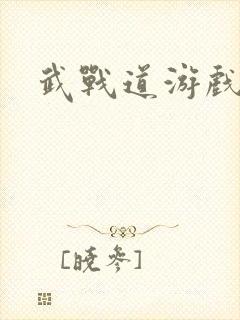武战道游戏